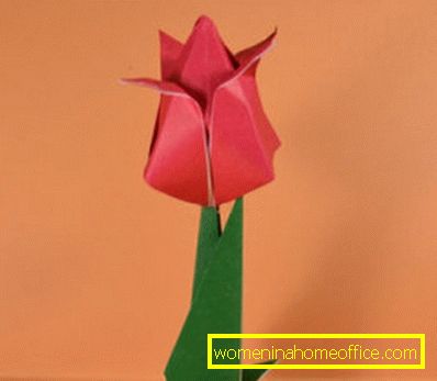 Origami Tulip: et ordning for barn